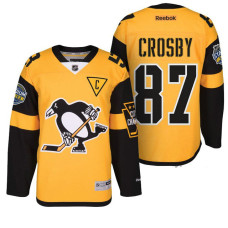 #87 Sidney Crosby Gold 2017 Stadium Series Jersey